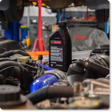 Expert Oil Change in Langley, BC