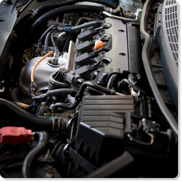 Victoria Diesel Repair Experts